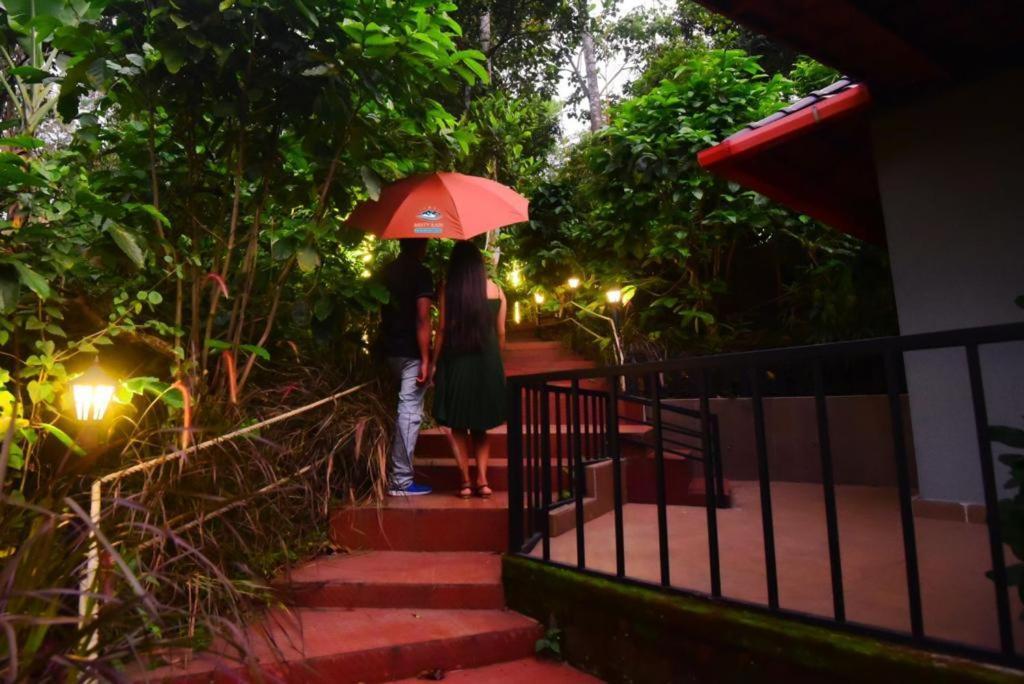 Misty Rain Estate Madikeri Exterior foto