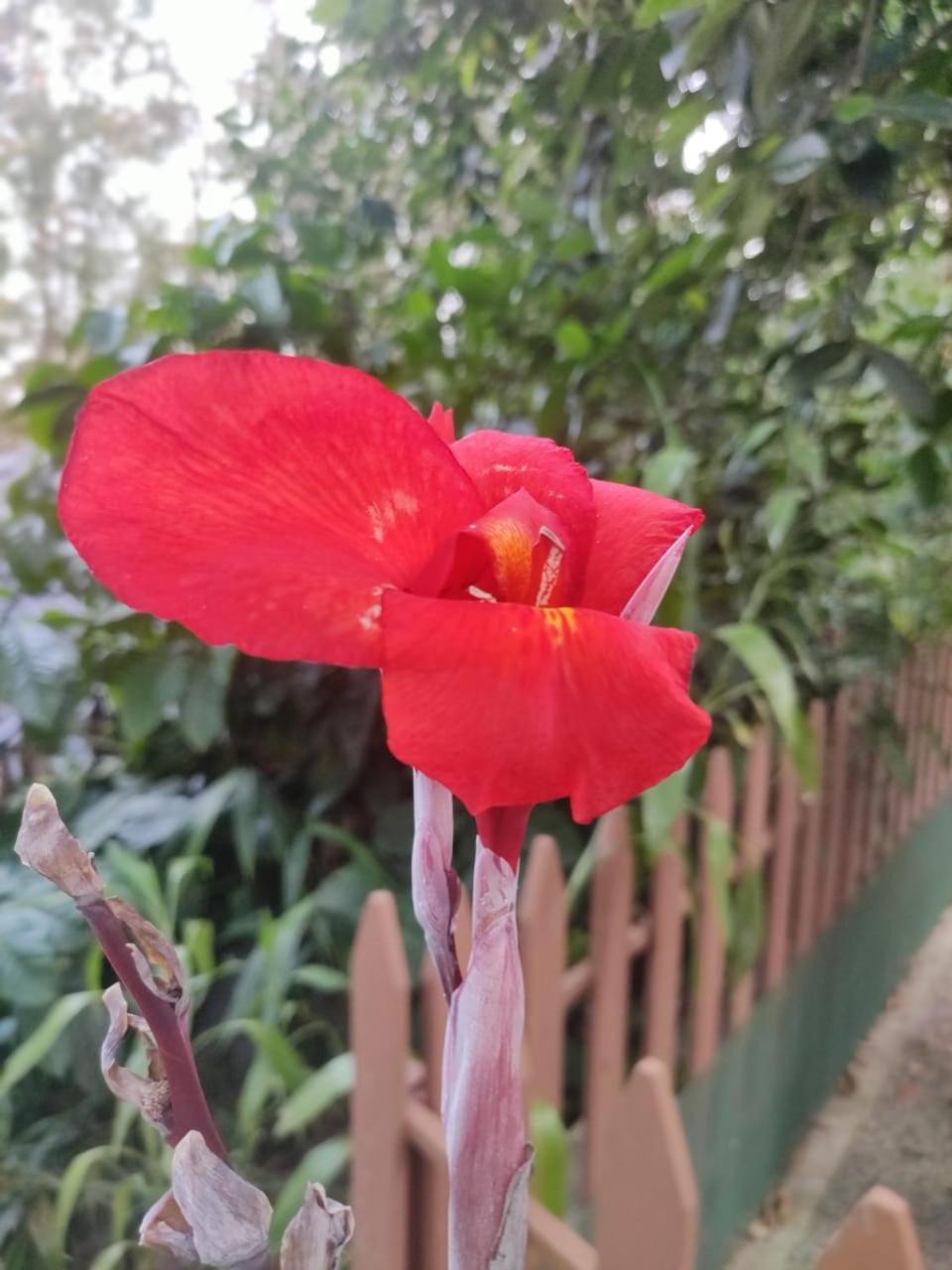Misty Rain Estate Madikeri Exterior foto
