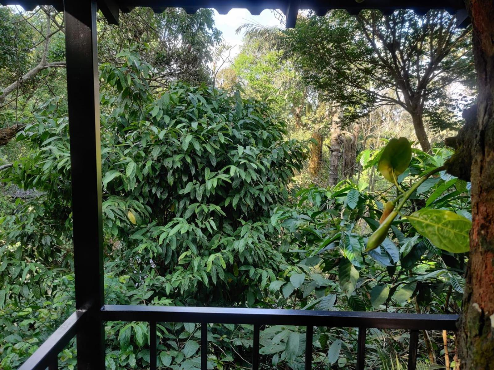 Misty Rain Estate Madikeri Exterior foto