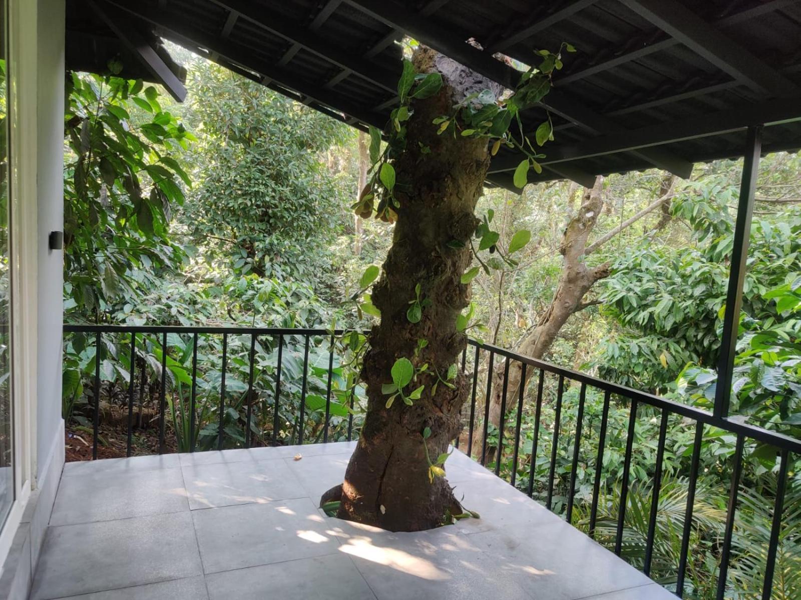 Misty Rain Estate Madikeri Exterior foto