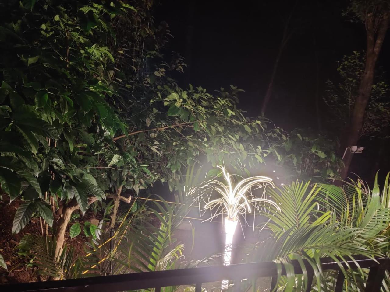 Misty Rain Estate Madikeri Exterior foto